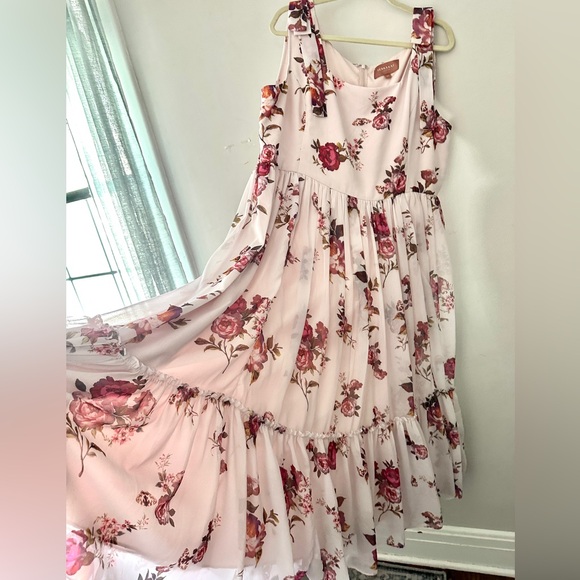 JessaKae Pepa Dress, Blush, Size 2X - Picture 7 of 11